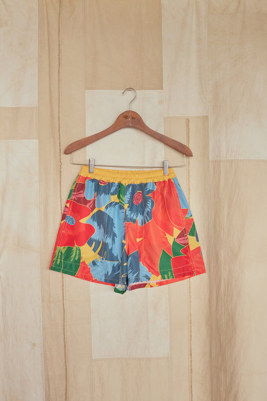 Island Swim Short